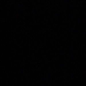 Meet your Posher, Billy